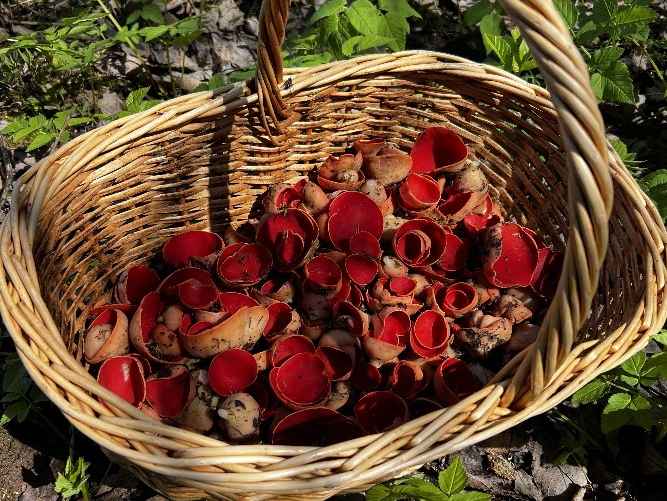 Фото: архив Александра Горбацевича