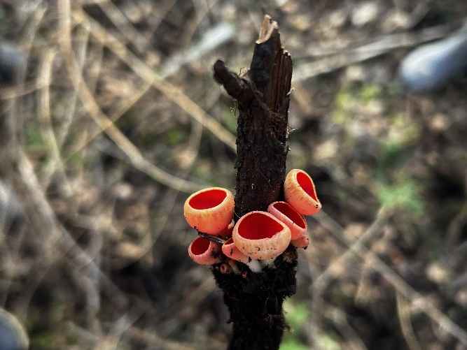 Фото: архив Александра Горбацевича
