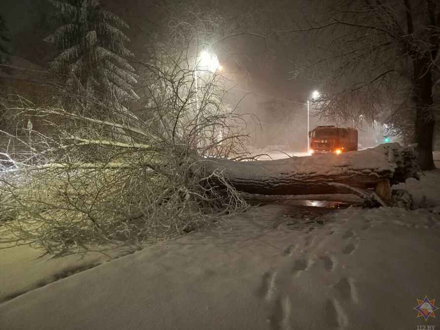 Десятки поваленных деревьев и машины в кювете. МЧС и энергетики рассказали о последствиях апрельских снегопадов