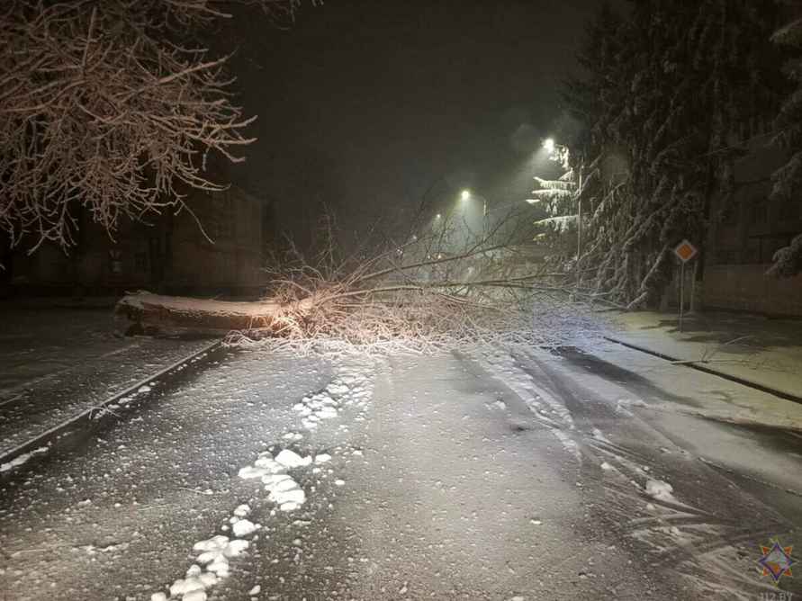 Десятки поваленных деревьев и машины в кювете. МЧС и энергетики рассказали о последствиях апрельских снегопадов