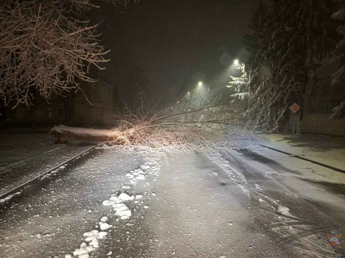 Десятки поваленных деревьев и машины в кювете. МЧС и энергетики рассказали о последствиях апрельских снегопадов
