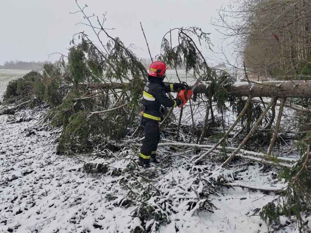 Десятки поваленных деревьев и машины в кювете. МЧС и энергетики рассказали о последствиях апрельских снегопадов