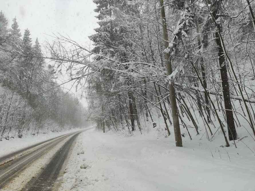 Десятки поваленных деревьев и машины в кювете. МЧС и энергетики рассказали о последствиях апрельских снегопадов