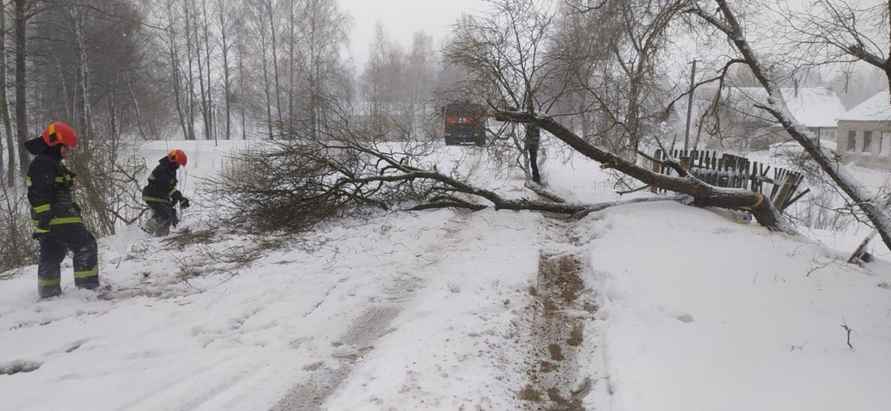 Десятки поваленных деревьев и машины в кювете. МЧС и энергетики рассказали о последствиях апрельских снегопадов