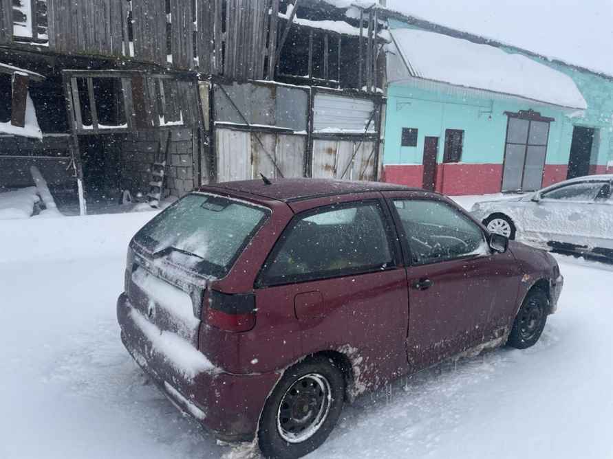 Десятки поваленных деревьев и машины в кювете. МЧС и энергетики рассказали о последствиях апрельских снегопадов