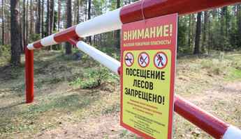 «Важно продержаться» — Минлесхоз объявил «усиленные дежурства» в лесах Беларуси. Чем займутся на рейдах?