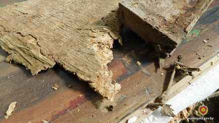 Могут ли белорусы потребовать вернуть часть денег за дом, если после покупки нашли дефекты? Узнали, чем закончился суд в Бобруйске