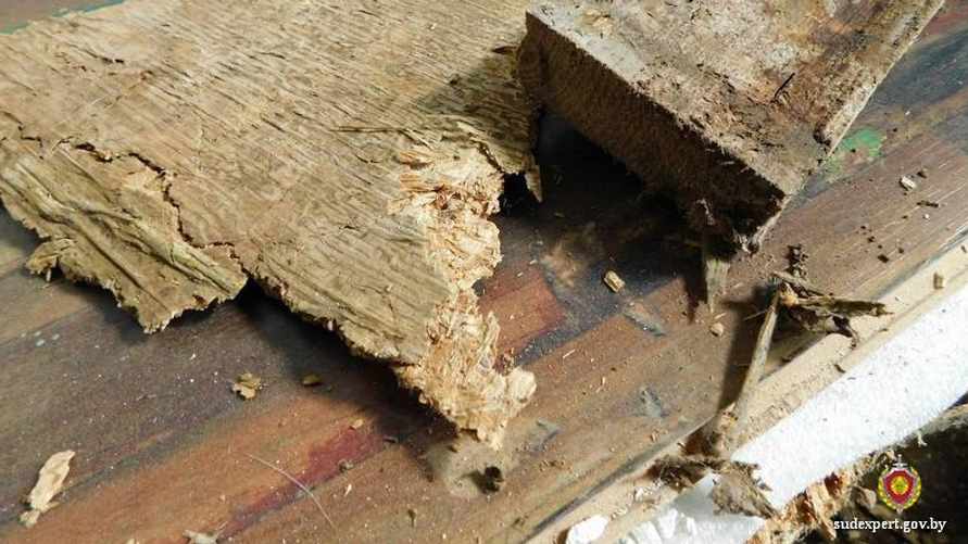 Фото: sudexpert.gov.by