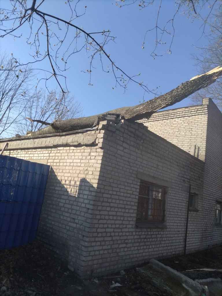 В Бобруйске ребёнок в детском саду получил перелом из-за сильного порыва ветра