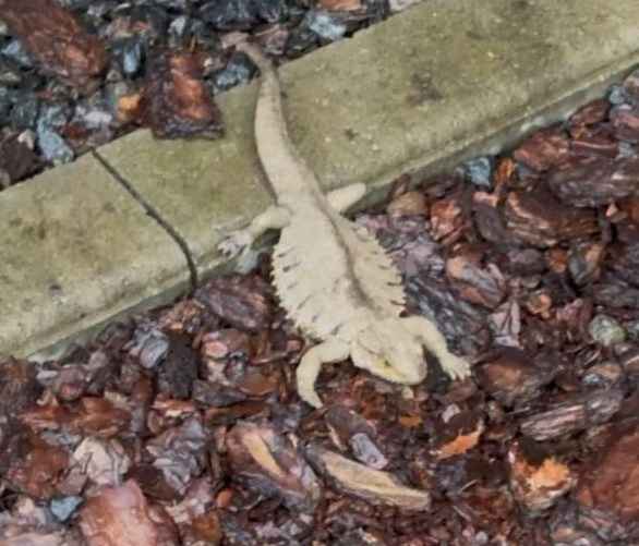 Фото находки