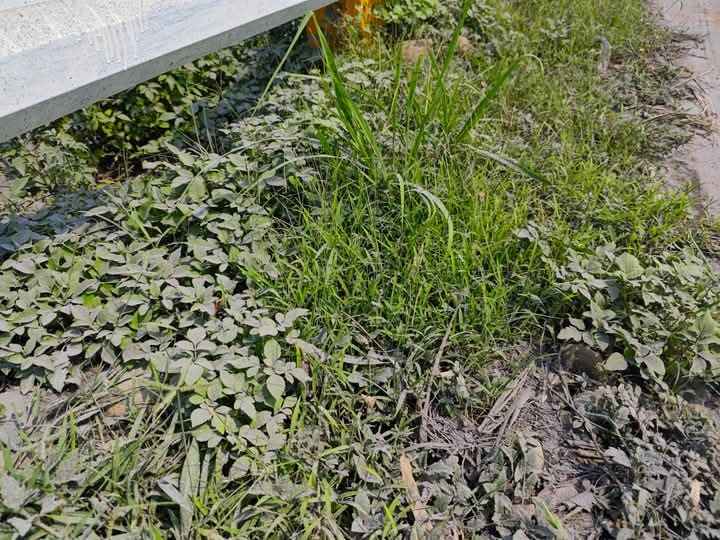 На Филиппинах началось извержение одного из высочайших вулканов - эвакуировали уже 1300 человек