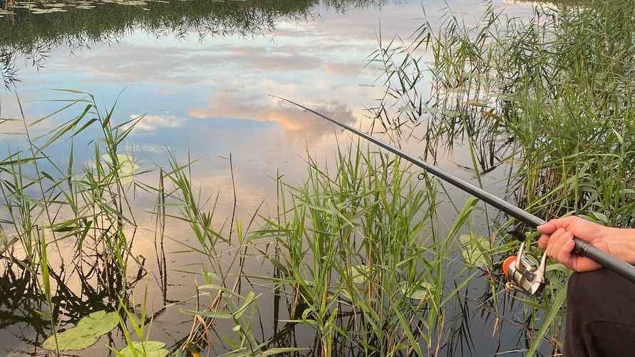 Фото: архив Ильи Аврейцевича