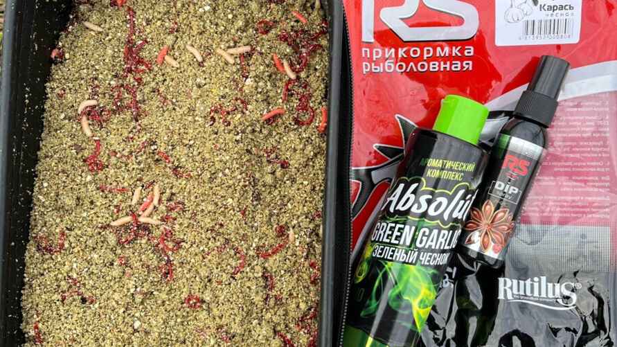 Фото: архив Ильи Аврейцевича