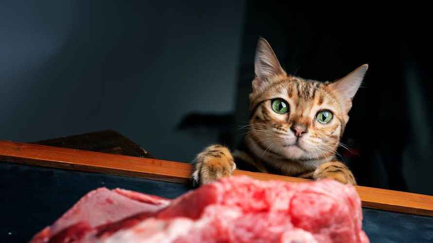 Фото: Shutterstock