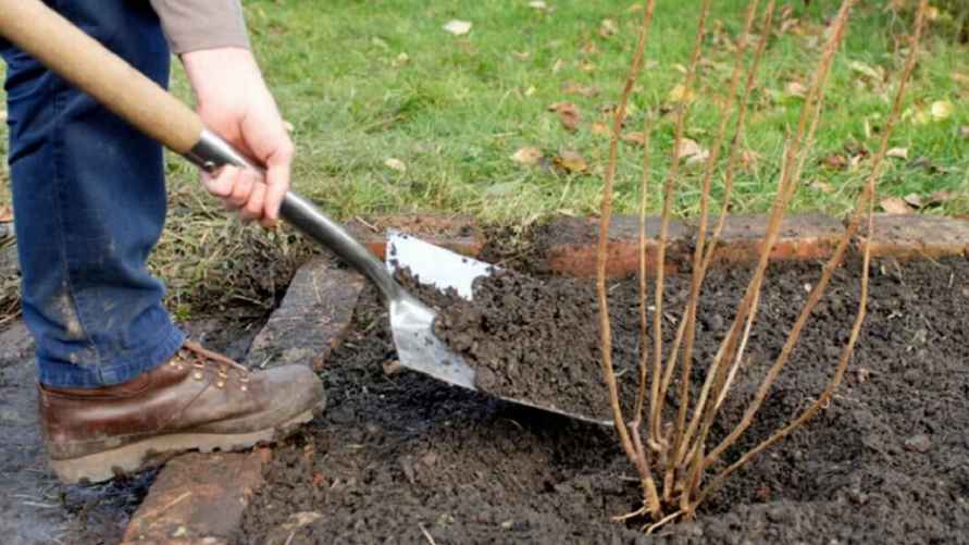 Фото иллюстрационное