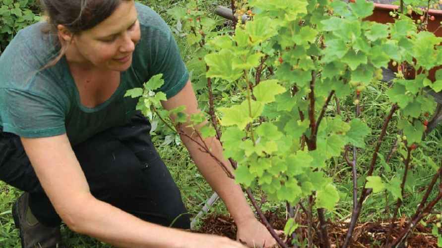 Фото иллюстрационное