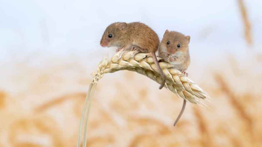 Фото иллюстрационное