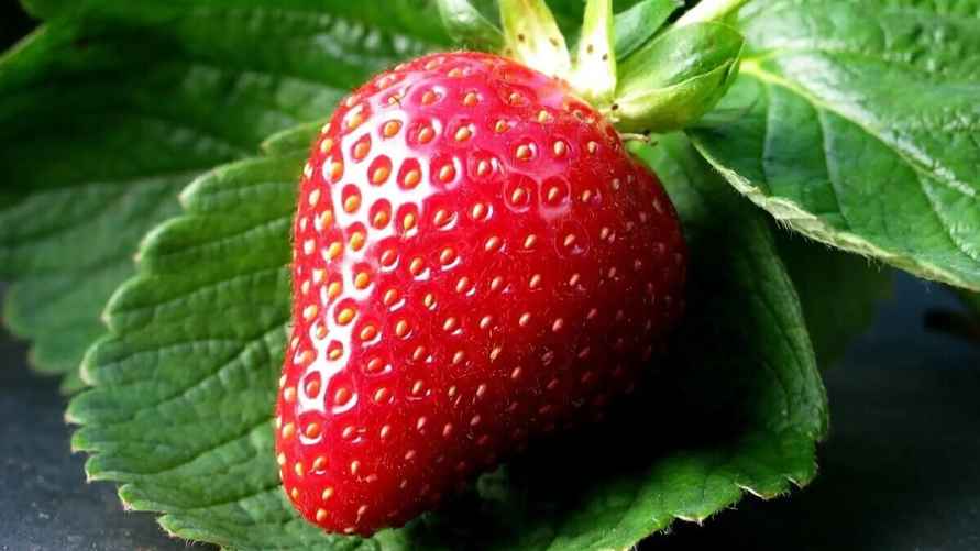 Фото иллюстрационное