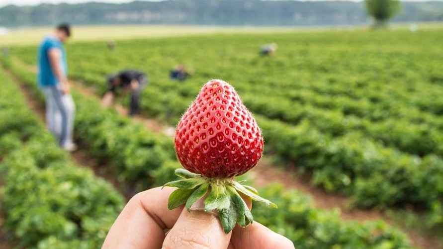 Фото иллюстрационное