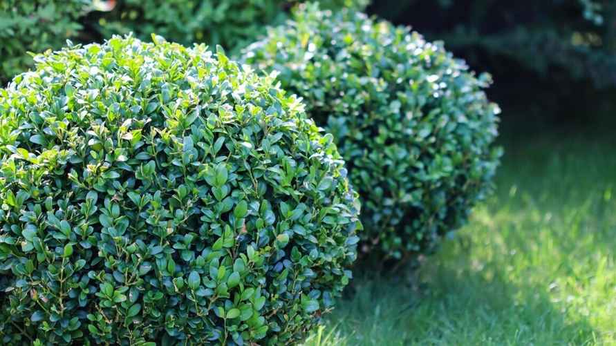 Фото иллюстрационное