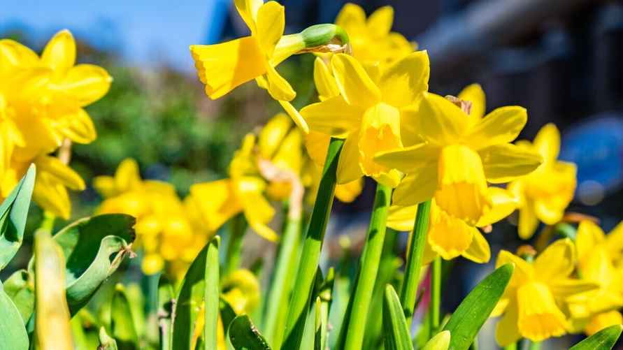 Фото иллюстрационное