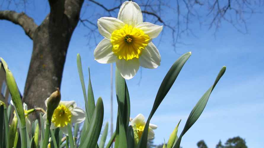 Фото иллюстрационное