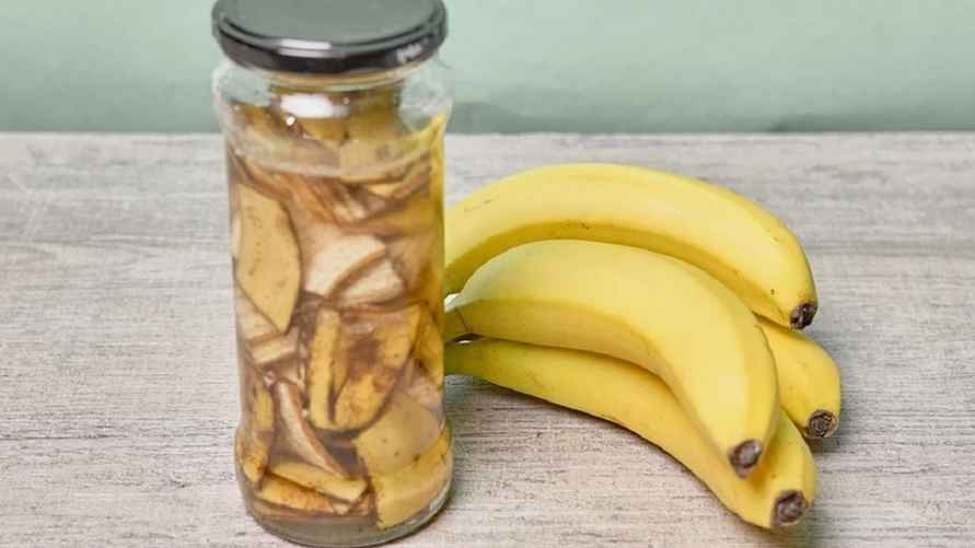 Фото иллюстрационное