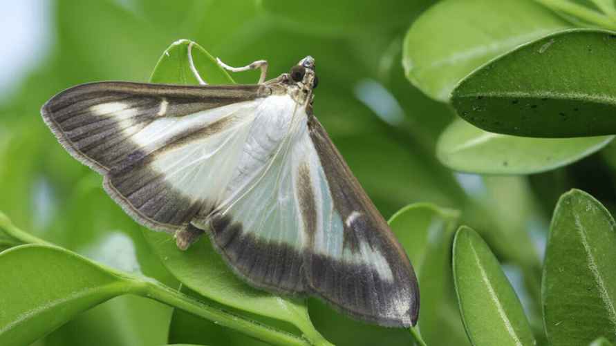 Фото иллюстрационное