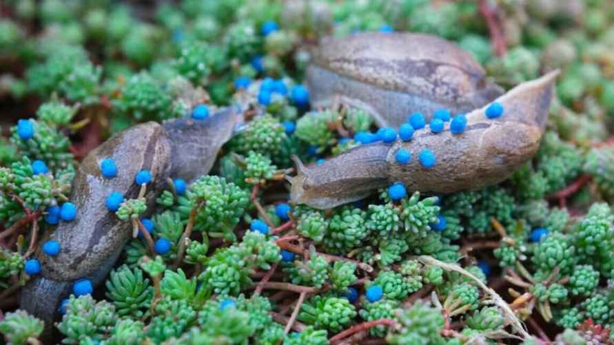 Фото иллюстрационное