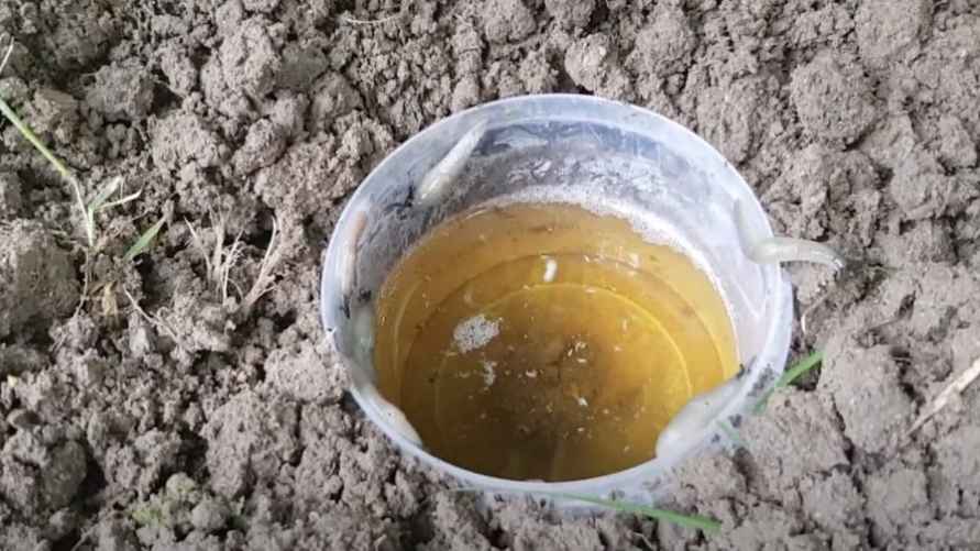 Фото иллюстрационное