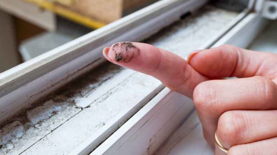 Фото иллюстрационное