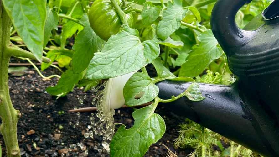 Фото иллюстрационное