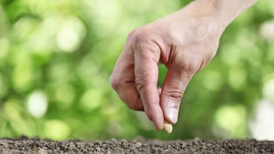 Фото иллюстрационное