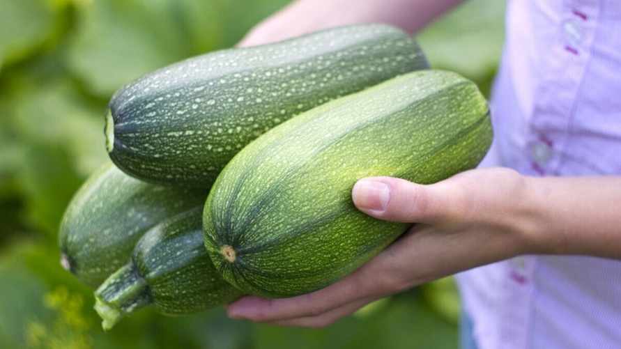 Фото иллюстрационное