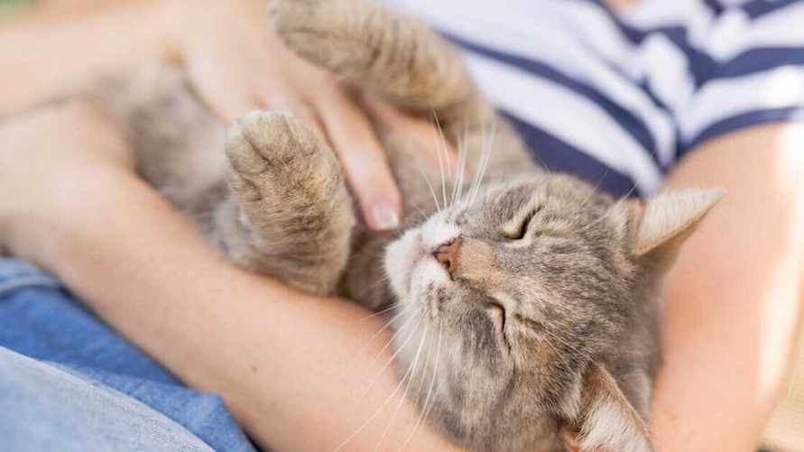 Фото иллюстрационное