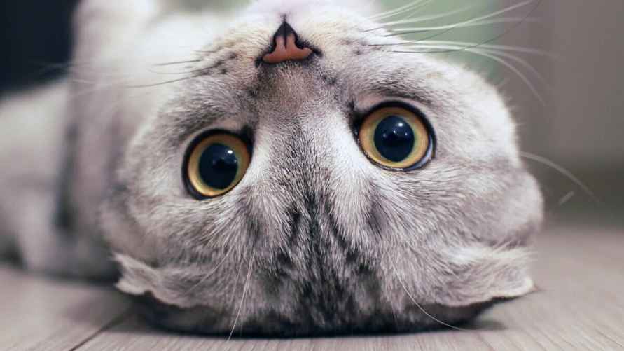 Фото иллюстрационное