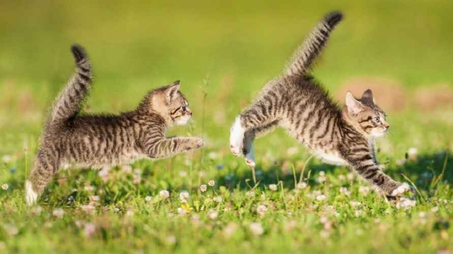 Фото иллюстрационное