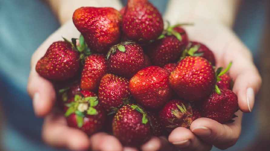 Фото иллюстрационное