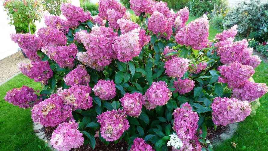 Фото иллюстрационное