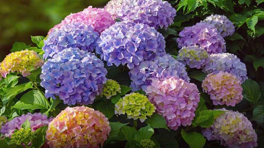 Фото иллюстрационное