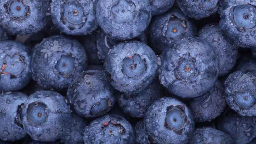 Фото иллюстрационное