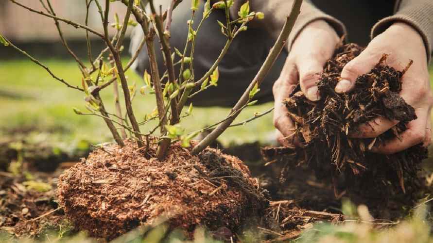 Фото иллюстрационное