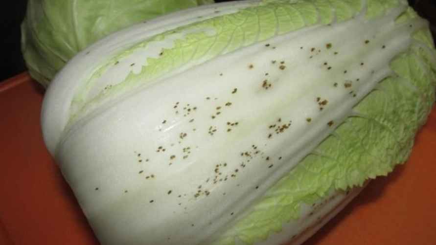 Фото иллюстрационное