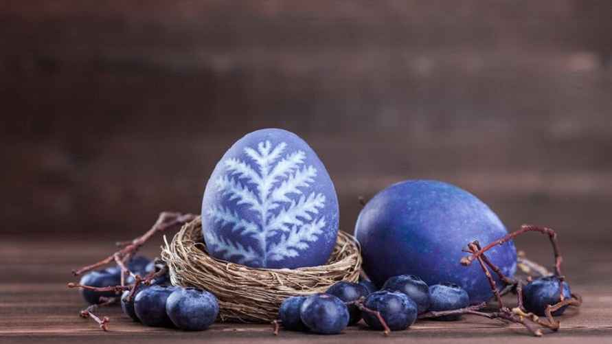 Фото иллюстрационное