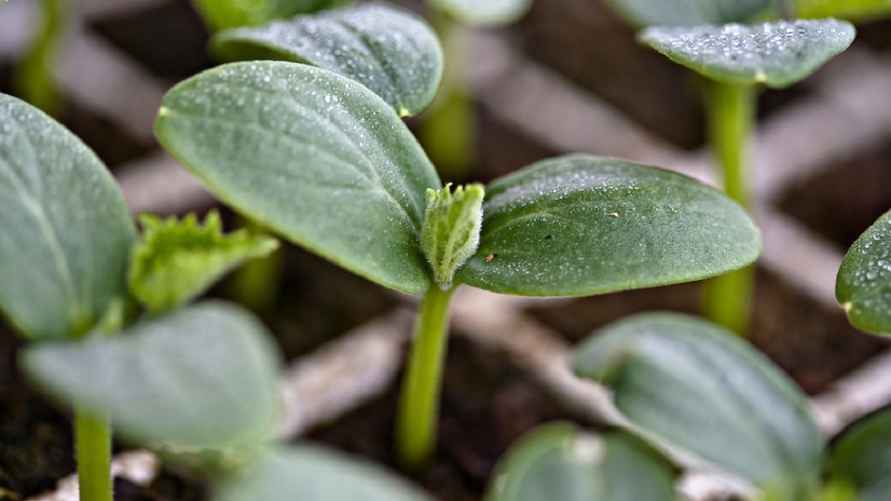 Фото иллюстрационное