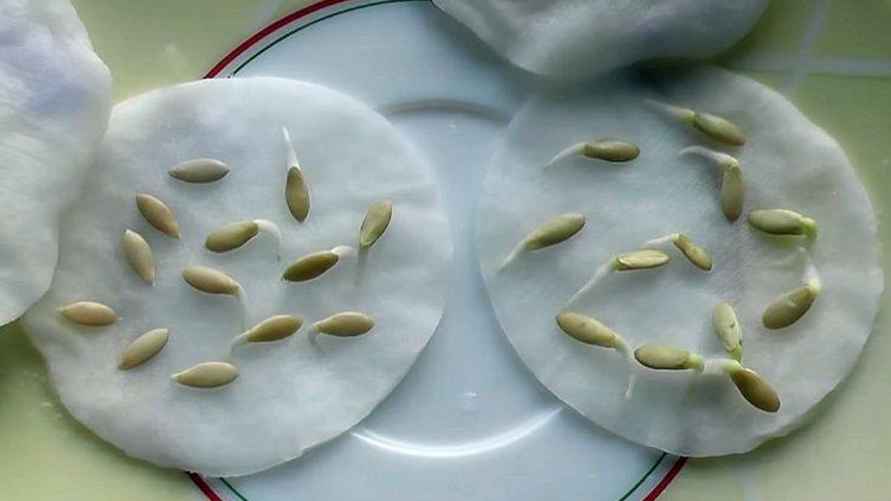 Фото иллюстрационное