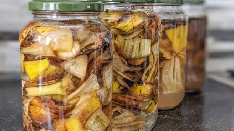 Фото иллюстрационное