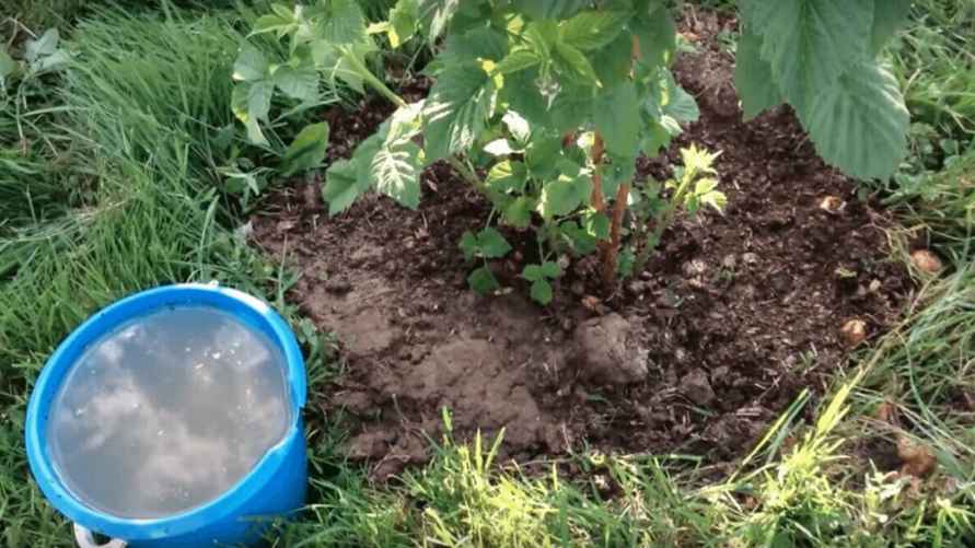 Фото иллюстрационное