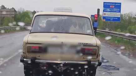 Под Гомелем белорус перевозил корову в салоне «Жигулей». За что получил «пачку административок»?