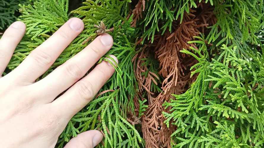 Фото: Telegraf.news